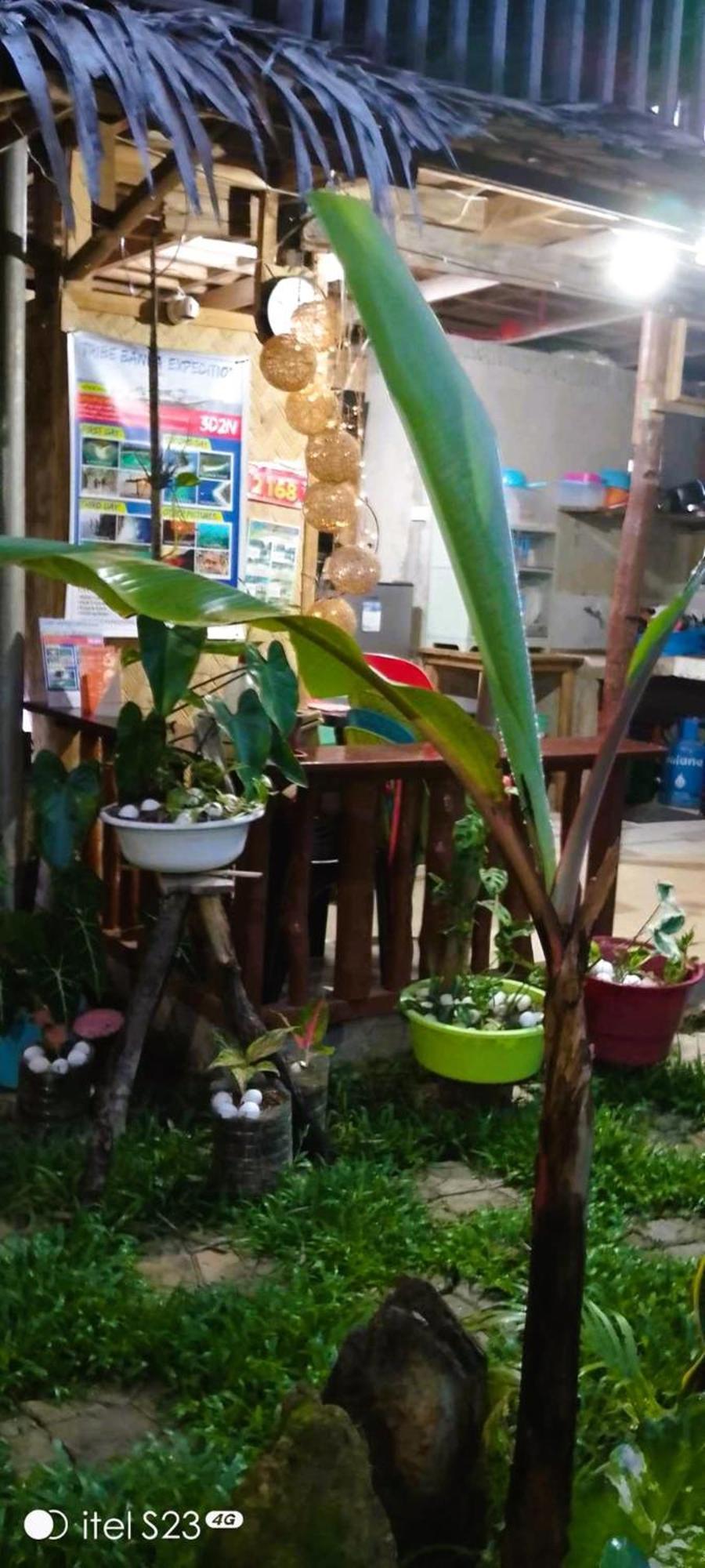 Alfa Garden Lodge 爱妮岛 外观 照片